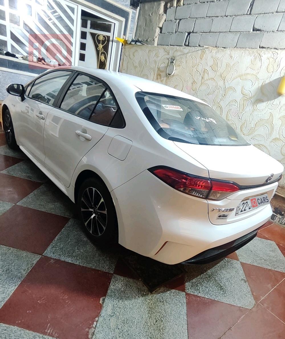 تويوتا كورولا